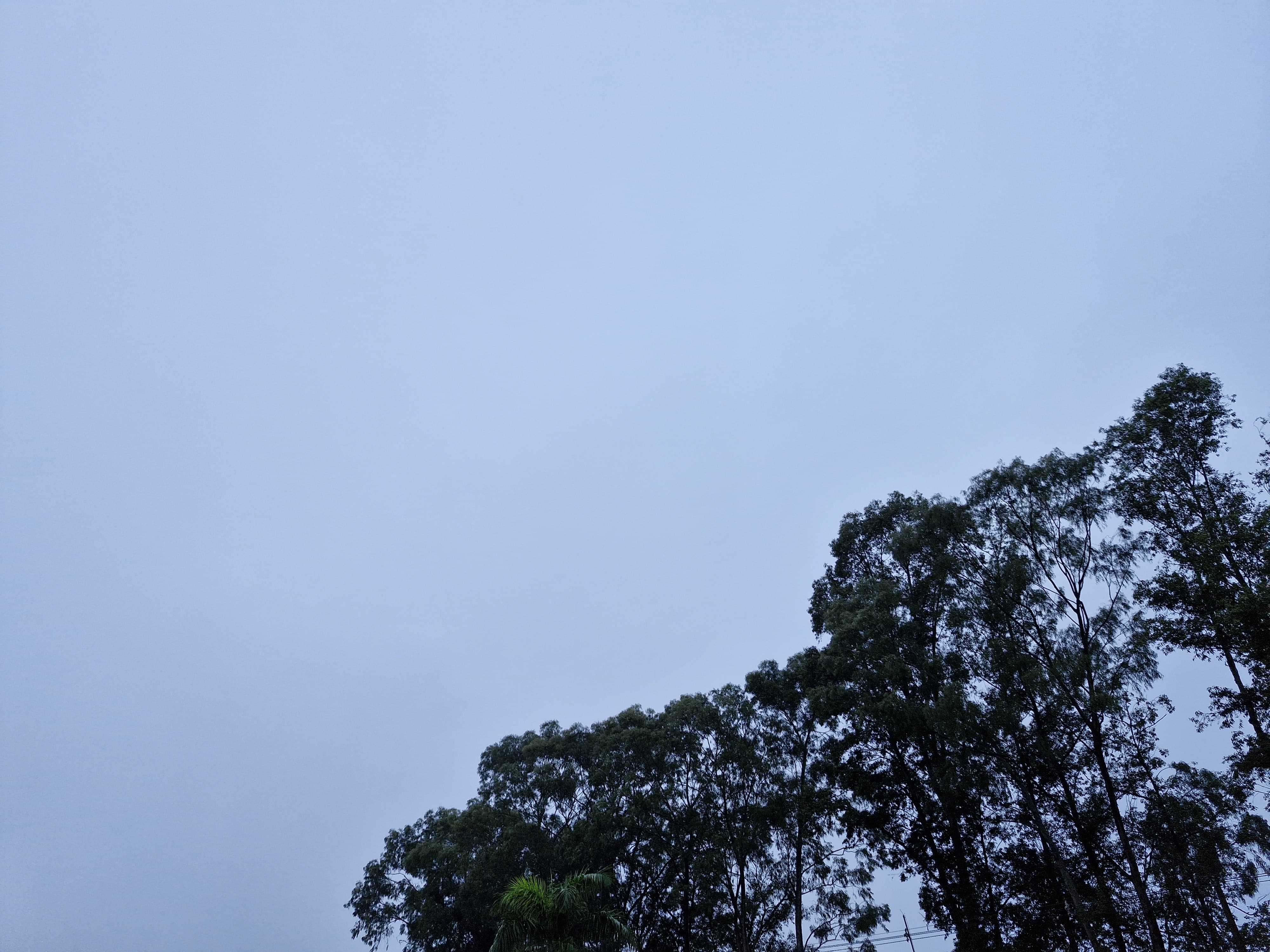 Naviraí terá segunda-feira com chuva pela manhã e tempo instável ao longo do dia