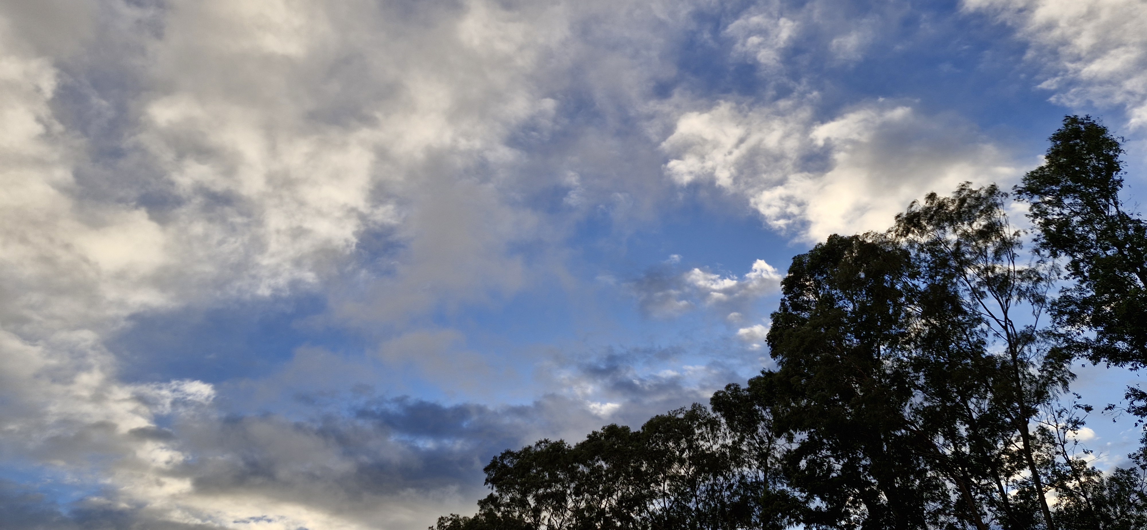 Segunda-feira será de sol entre nuvens e pancadas de chuva em Naviraí