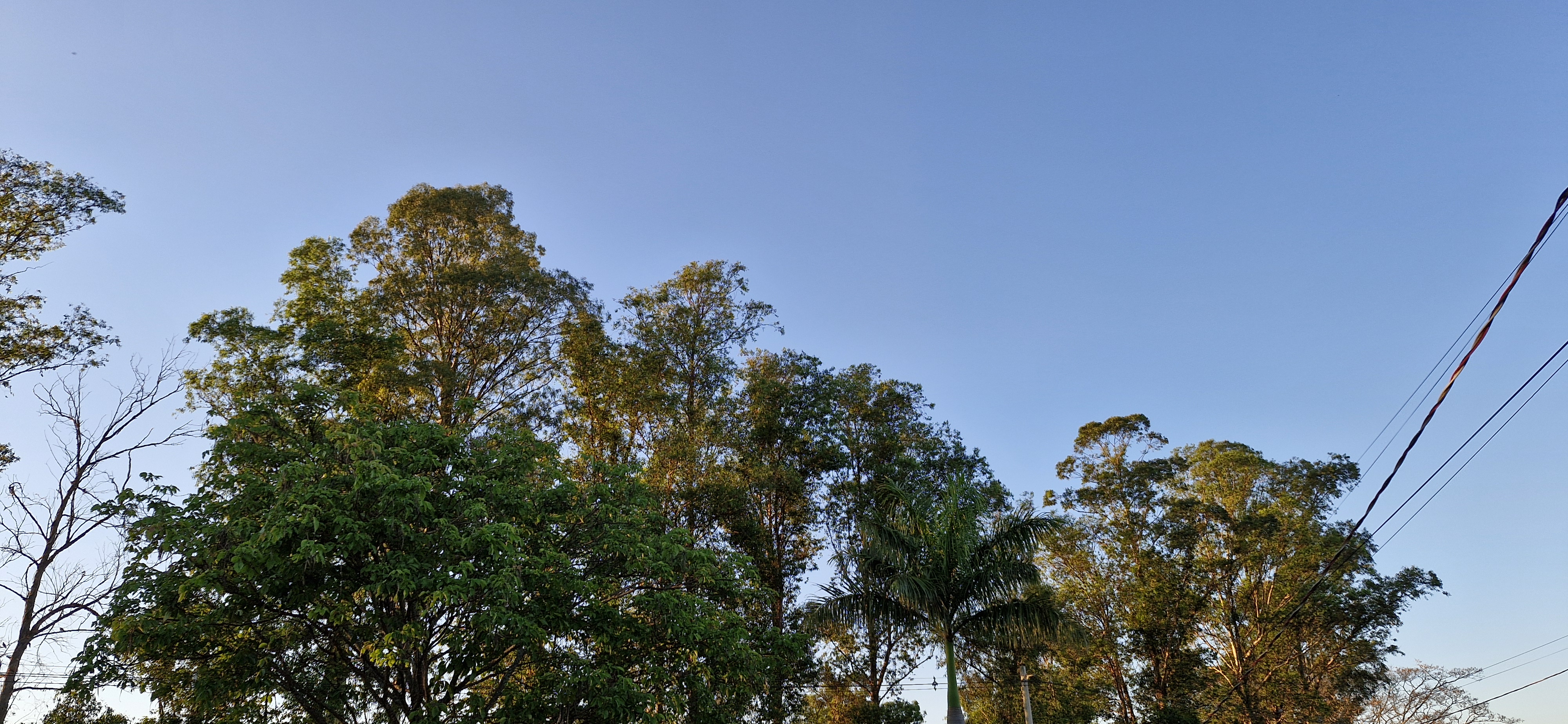 Frio marca a manhã desta terça-feira em Naviraí, mas sol predomina ao longo do dia