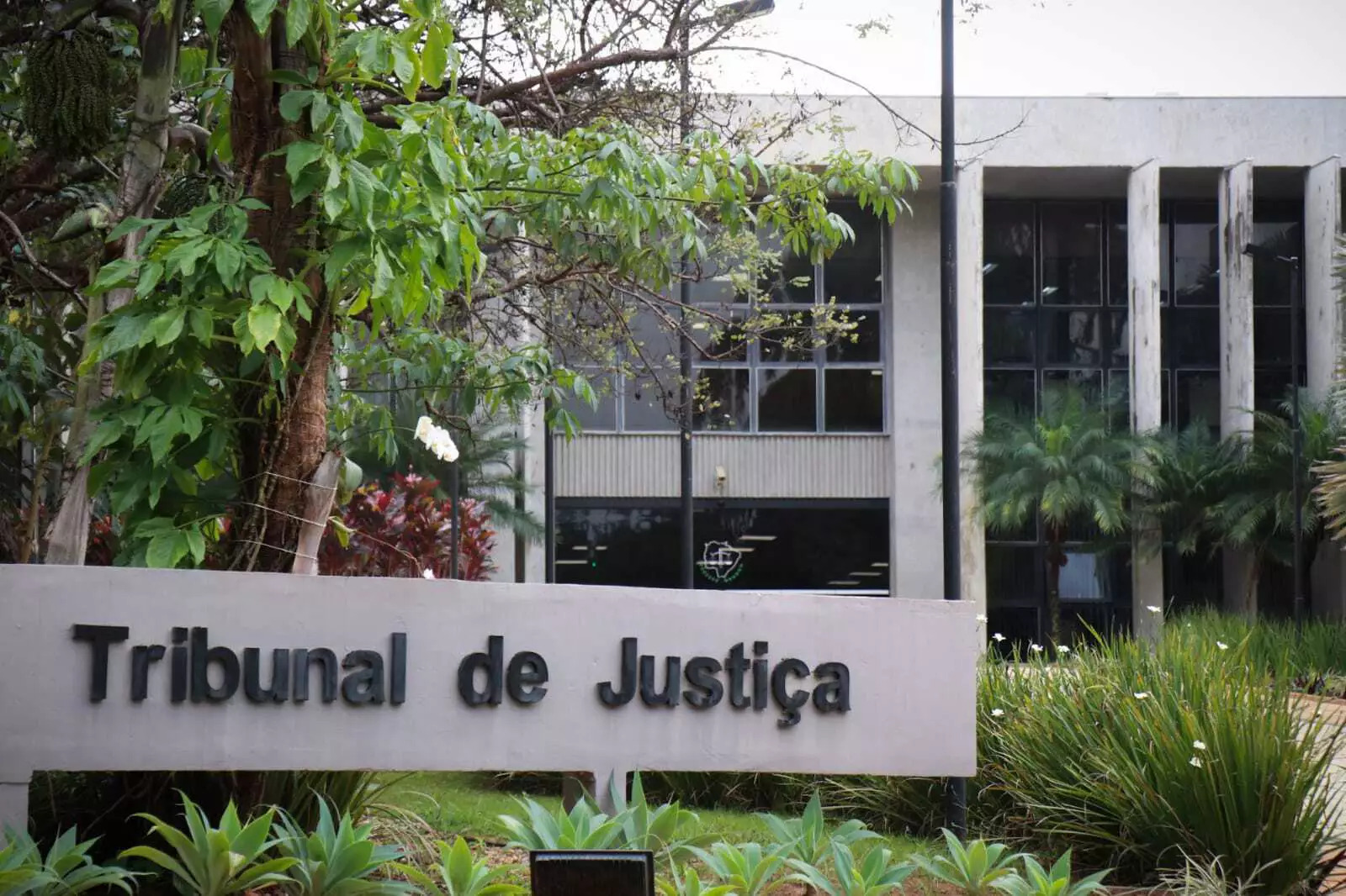 Assembleia aprova criação de 150 cargos para concurso público no TJMS