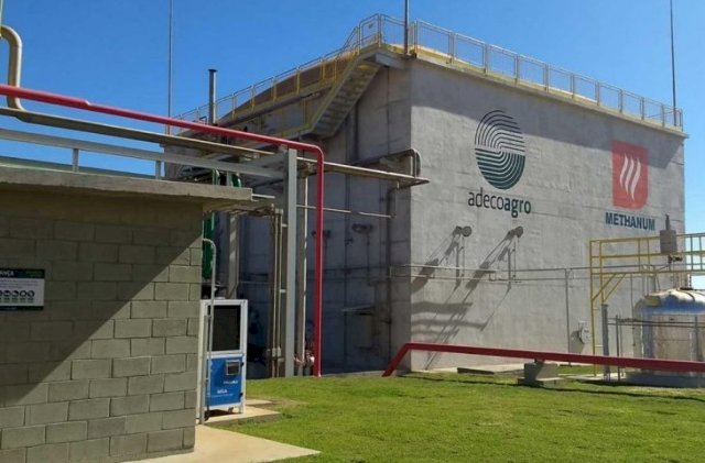 Mineração de bitcoins começará em julho em MS usando energia da cana-de-açúcar