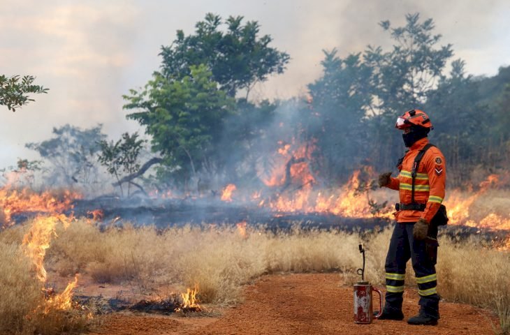 Bombeiros de MS se preparam para temporada de incêndios florestais com treinamentos e ações em campo