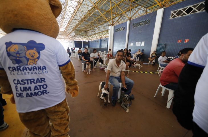 Caravana da Castração  atinge a marca histórica de 25 mil cães e gatos castrados