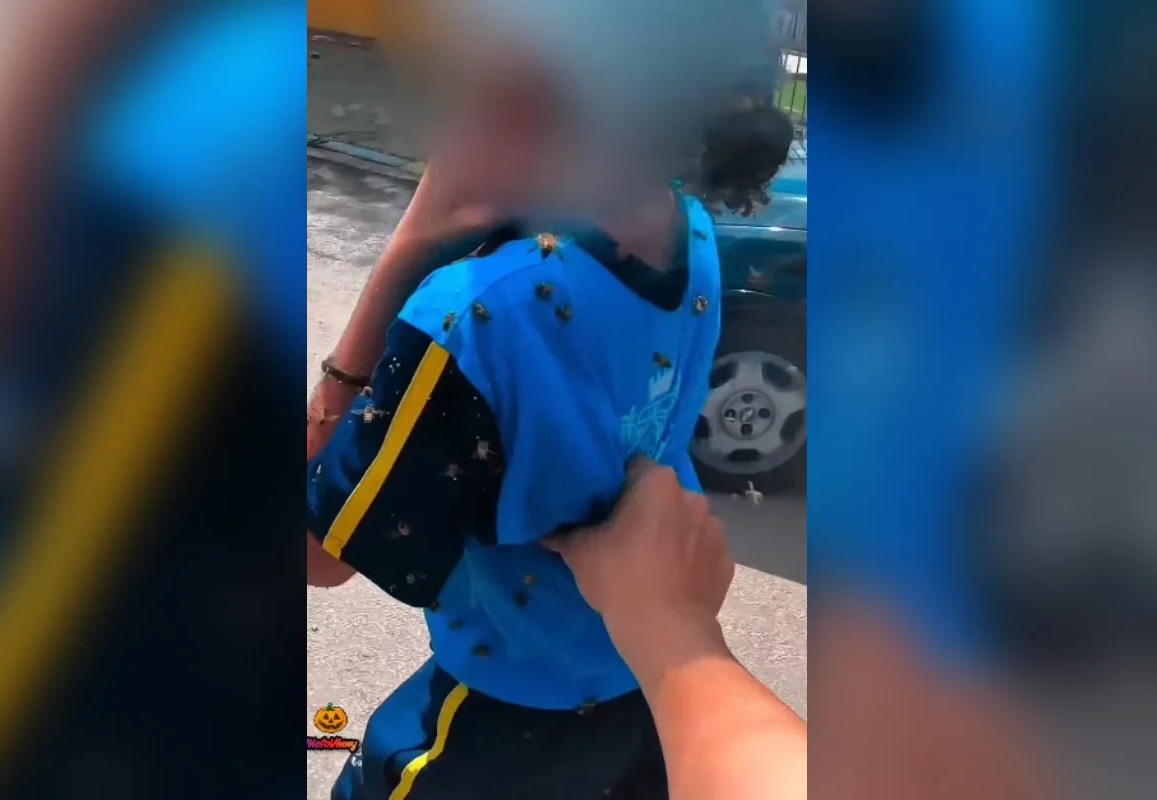 Motoboy salva criança e leva 40 picadas durante ataque de abelhas em MG
